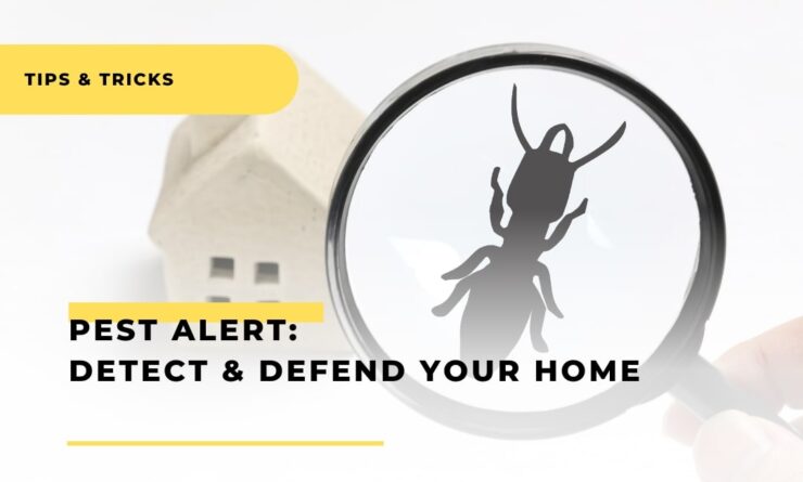 Pest Alert Detect and Defend Your Home
