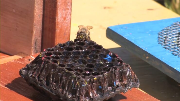 Bee Houses