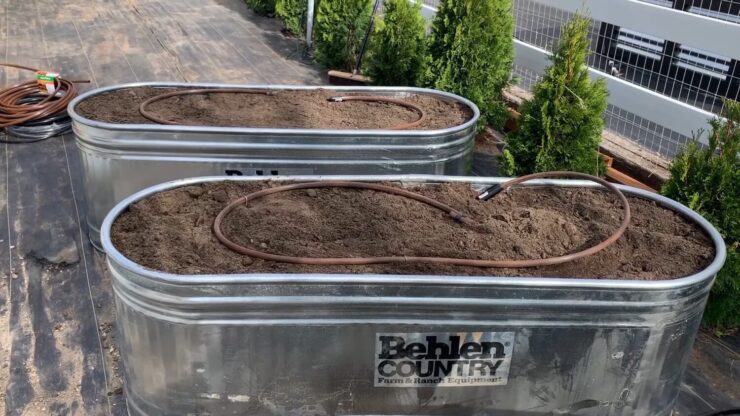 Turning Cattle Troughs Into Raised Bed Gardens