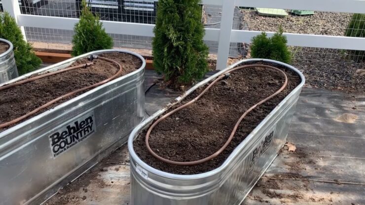 Stock Tank Raised Garden Beds - Seeds