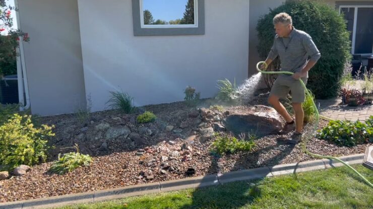 Tending Your Rock Garden