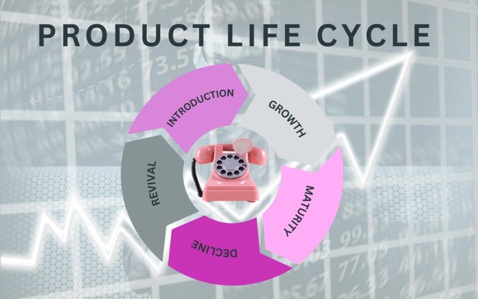 Product Life Cycle