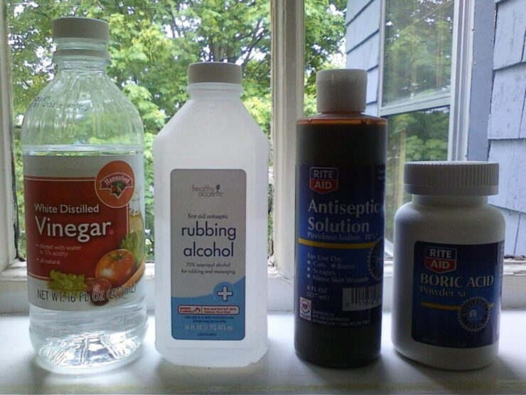 View of Can You Make Your Own Dog Ear Cleaning Solution