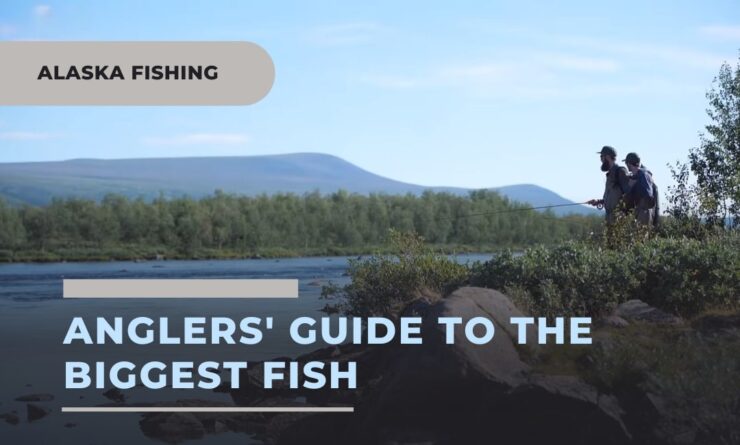 Anglers' Guide to catching the Biggest Fish in alaska