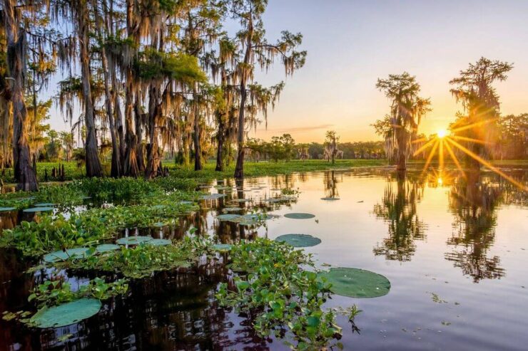 Atchafalaya Basin