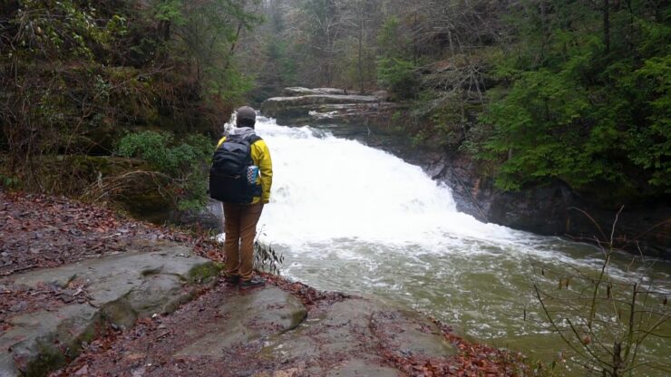 Bankhead National Forest Alabama