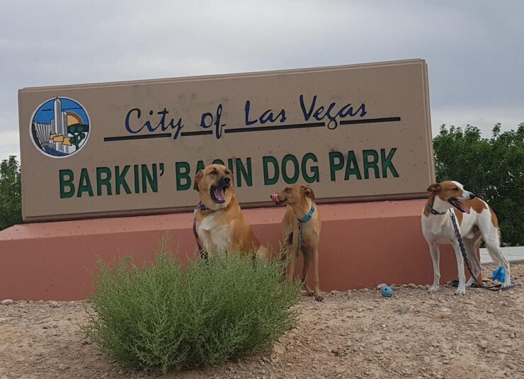 Barkin' Basin Park