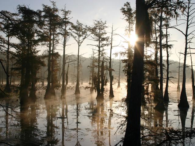Black Bayou Lake National Wildlife Refuge