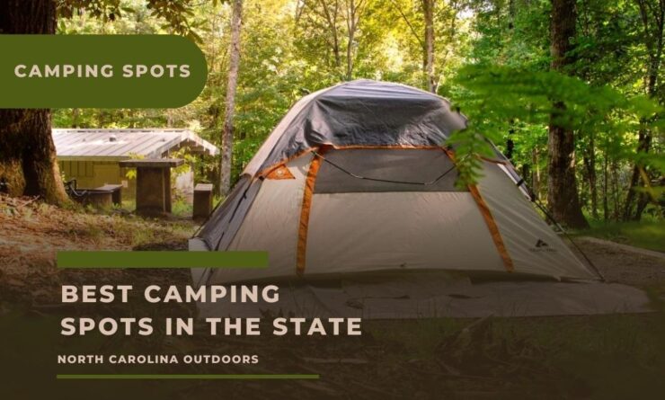 Camping spots