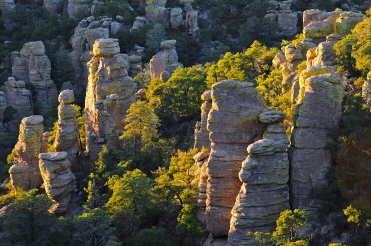 Chiricahua