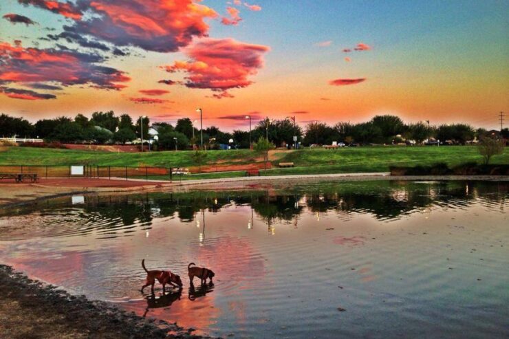 Cosmo Dog Park