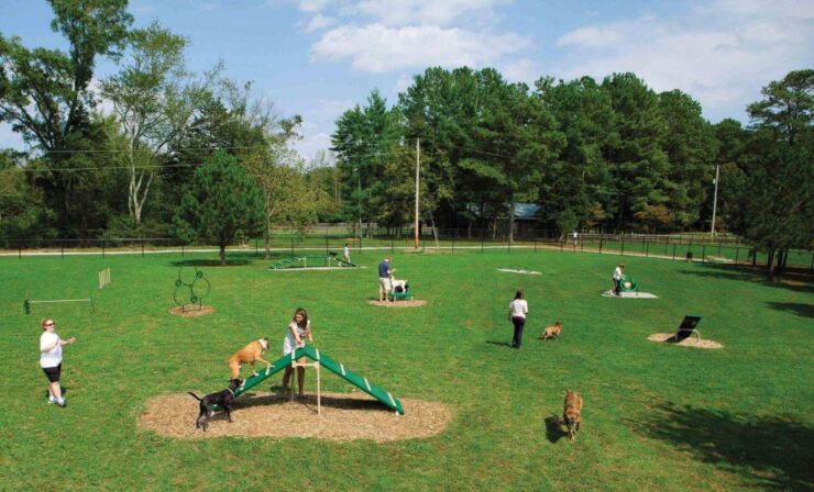 Cunningham Park Dog Run