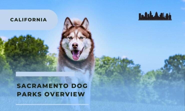 Dog parks in Sacramento