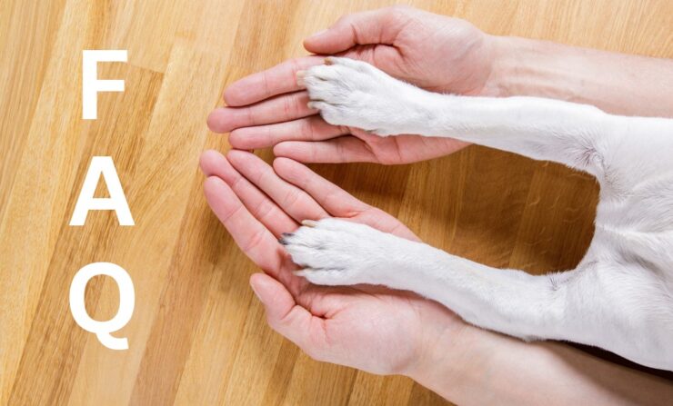Nail Care for Dogs: Quick Tips, Scratch Boards, Paw Type, and More!