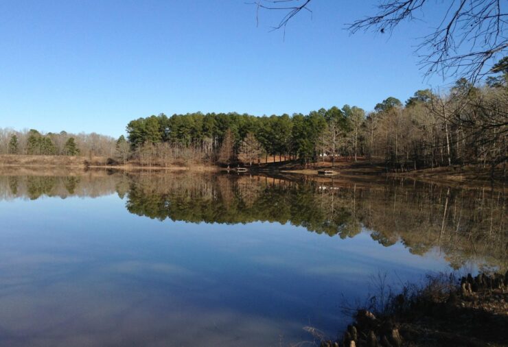 Holly Springs National Forest