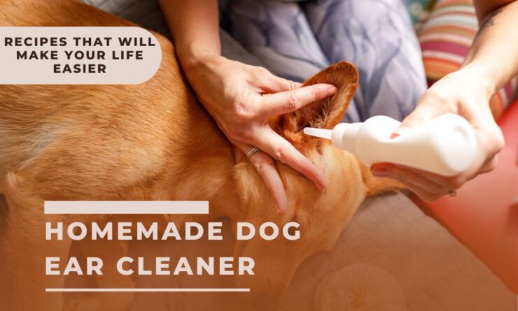 Homemade Dog Ear Cleaner