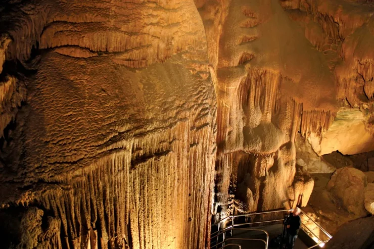 Mammoth Cave National Park