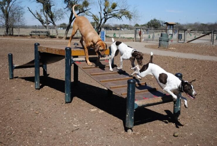 McAllister Dog Park