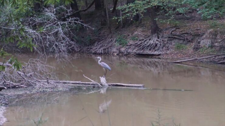 Mingo National Wildlife Refuge
