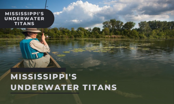 Mississippi's Underwater Titans
