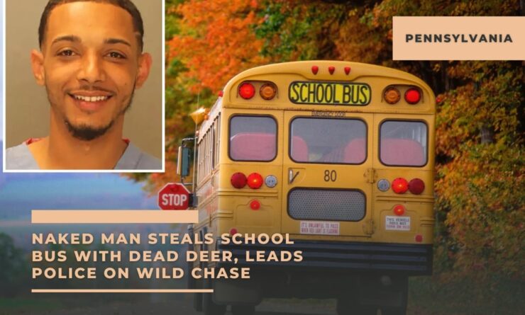 Naked Man Steals School Bus with Dead Deer, Leads Police on Wild Chase