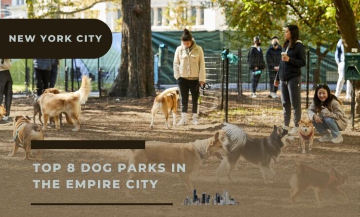 New York city dog parks