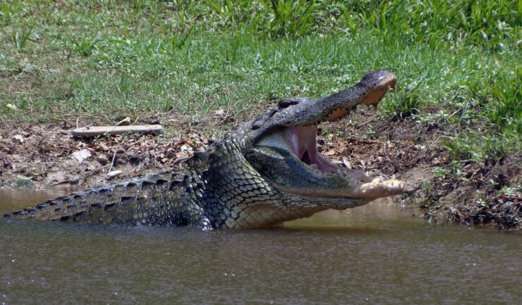 Noxubee National Wildlife Refuge