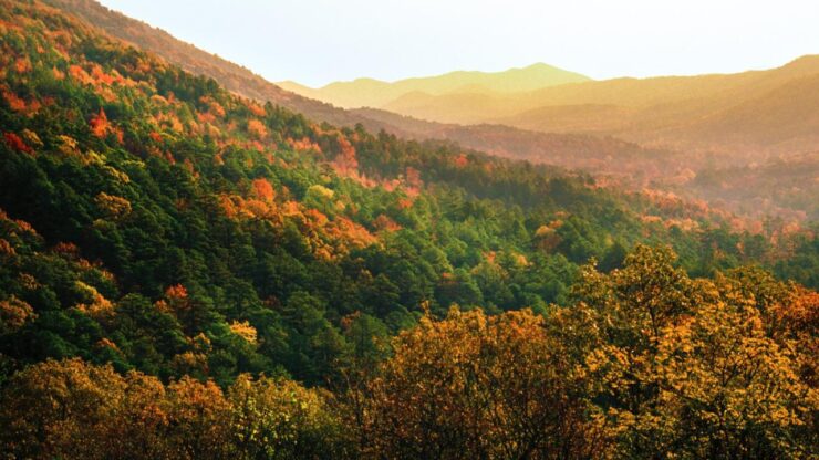 Ouachita National Forest
