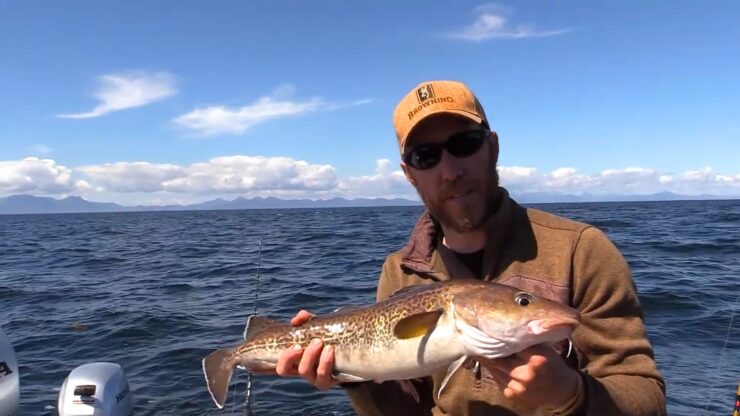 Pacific Cod