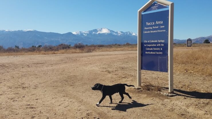 Palmer Park Dog Park