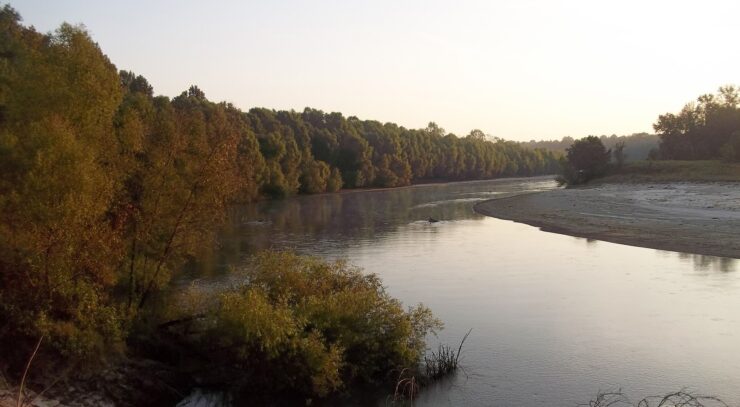 Pascagoula River Wildlife Management Area