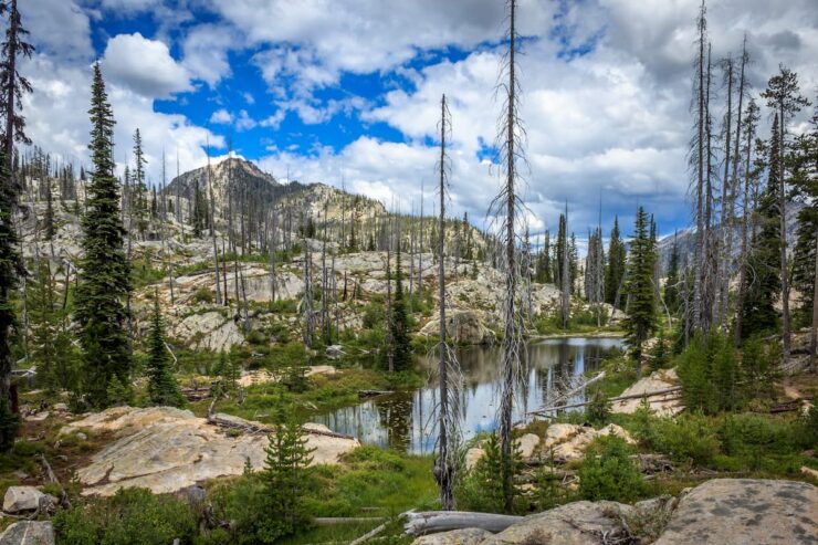 Payette National Forest