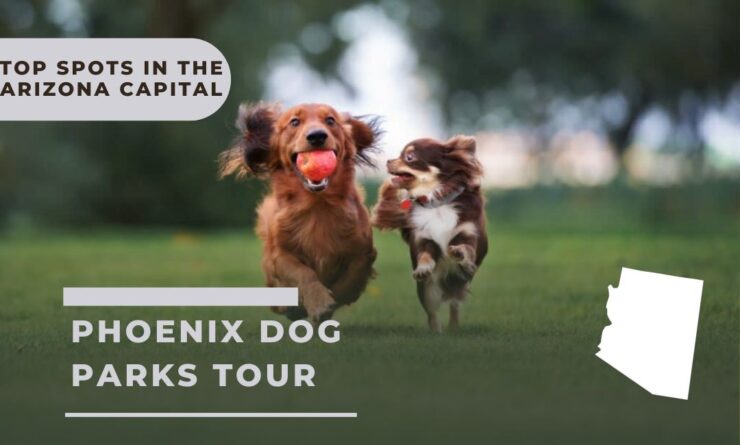 Phoenix Dog parks