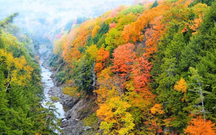 Quechee Gorge