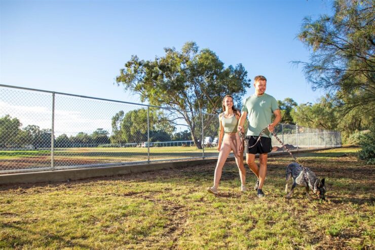 Rio Vista Park Dogs