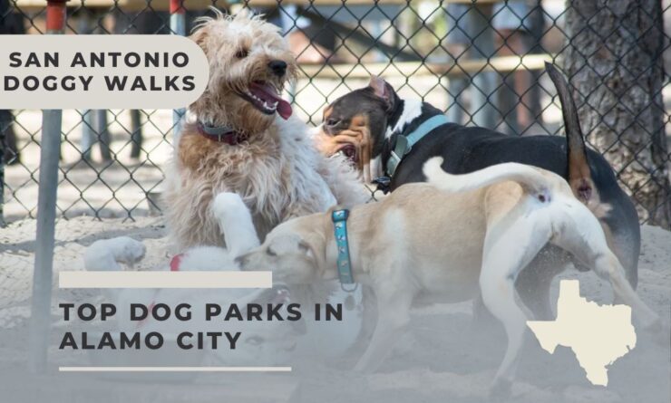 San Antonio Dog Parks