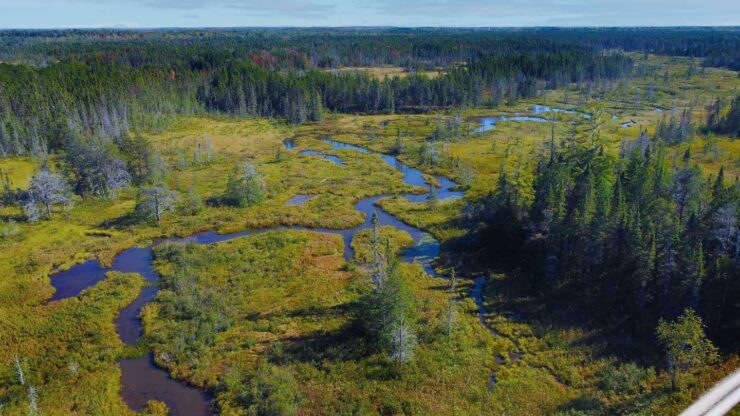 Seney National Wildlife Refuge