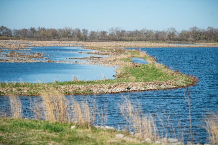Shiawassee National Wildlife Refuge