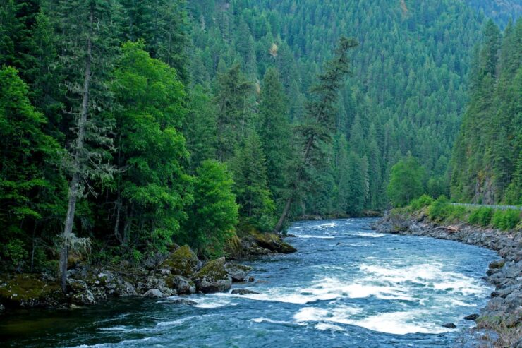 St. Joe National Forest and Nez Perce National Forest