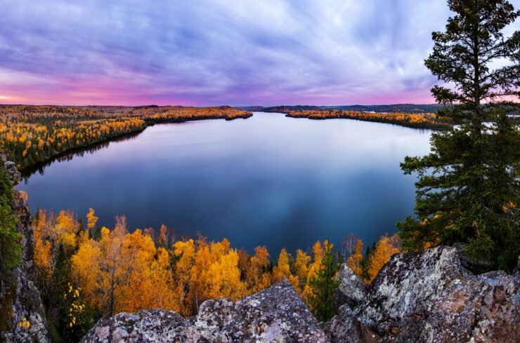 Superior National Forest