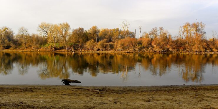 Sutter's Landing Regional Park Dog Park