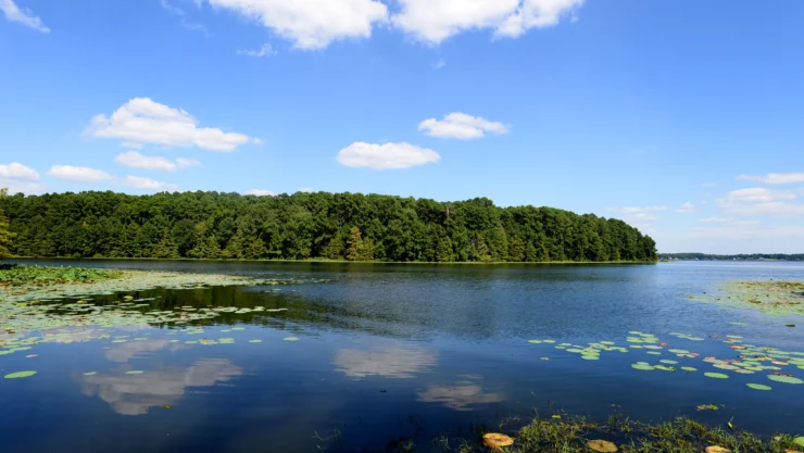 Toledo Bend Reservoir