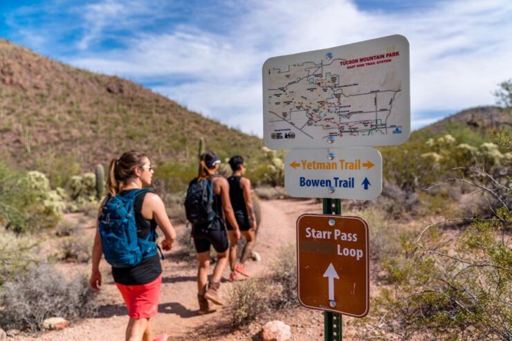Tucson Mountain Park