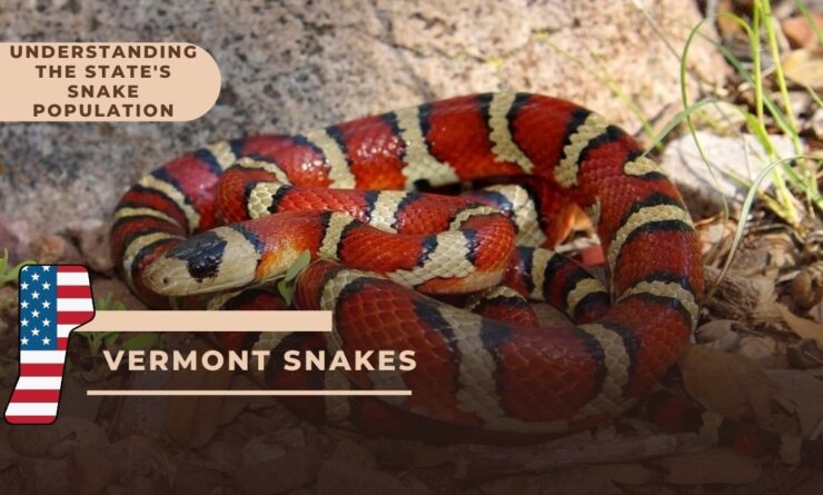 Understanding the State's Snake Population