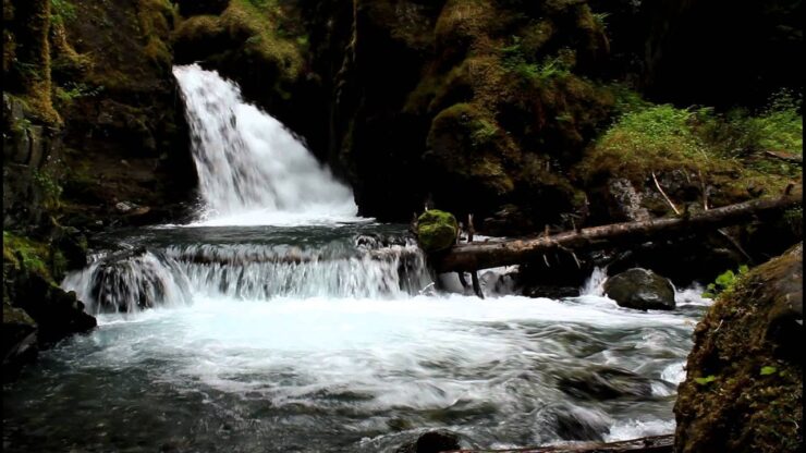 Virgin Creek Falls
