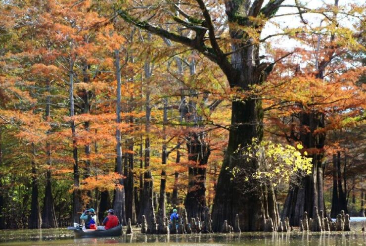 White River National Wildlife Refuge