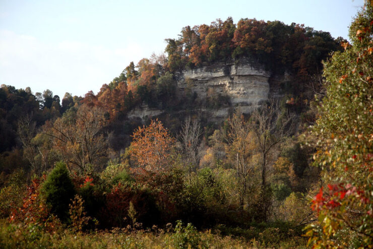 Wildlife Management Areas