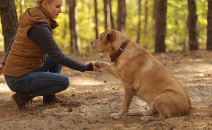 breeds commonly have more black nails