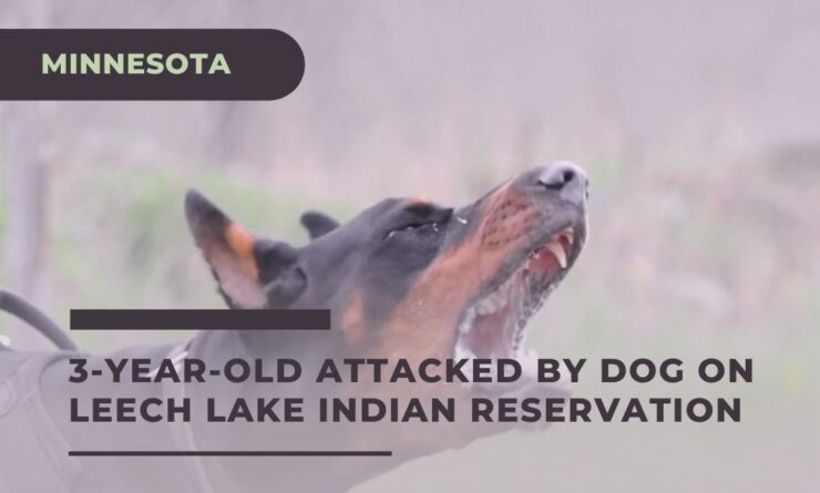 3-Year-Old Attacked by Dog in Minnesota in Leech Lake Indian Reservation