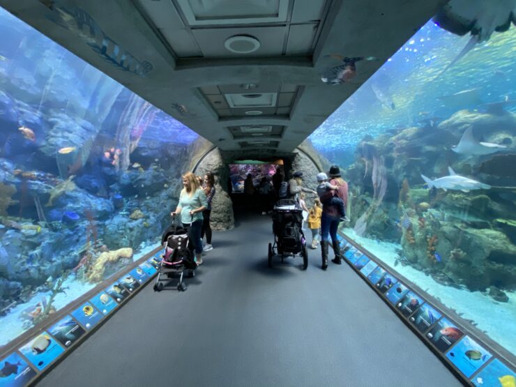 Aquarium of the Pacific